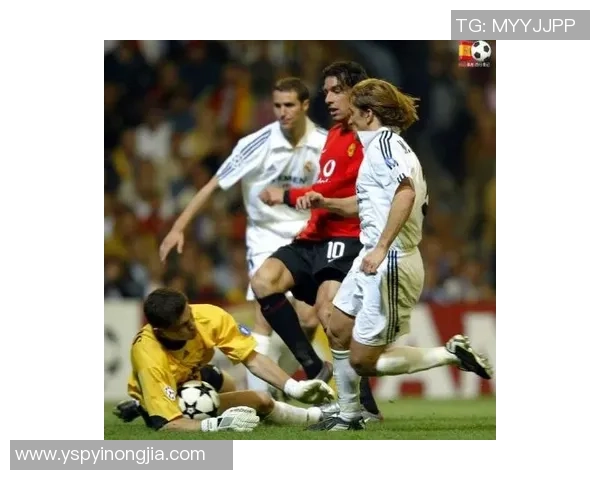 足球贾队长带领球队勇闯赛场展现激情与团队精神的传奇之路