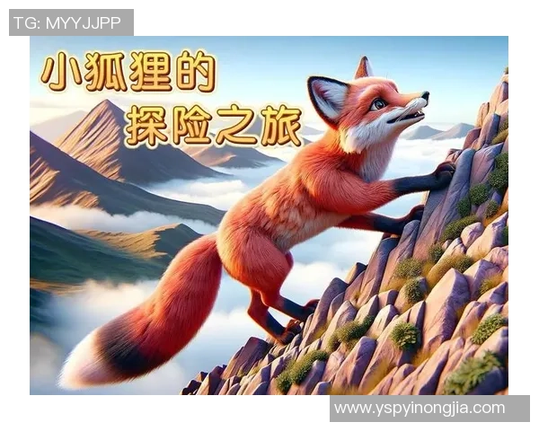 足球小狐狸的奇幻冒险之旅探索梦想与友情的力量